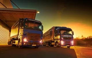 Hofmeister & Meincke