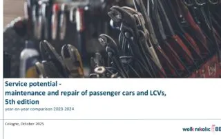 Service Potentials in Germany 2024