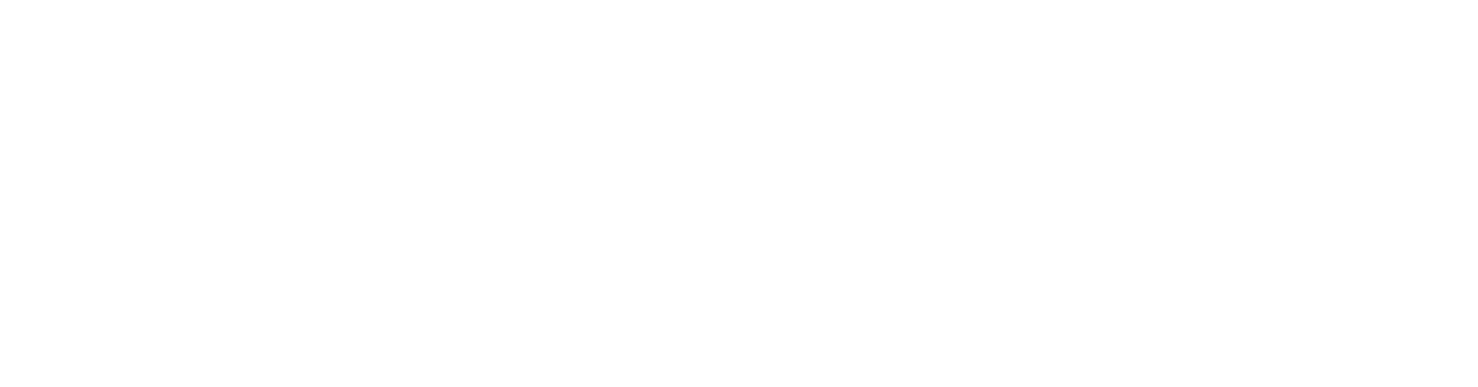 Wolk & Nikolic Aftersales Intelligence GmbH